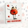 Coffret cadeau porte-bonheur "Jour de chance !"