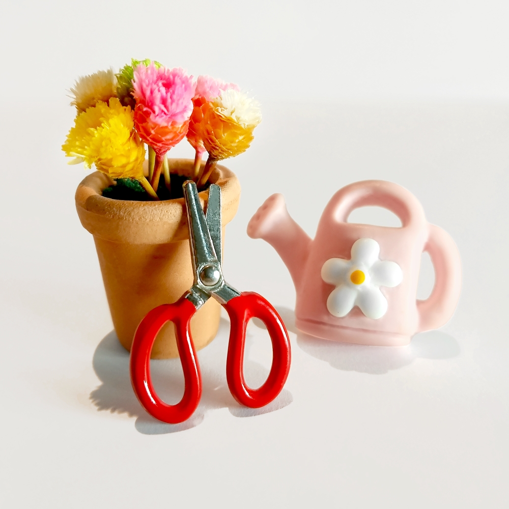 Coffret cadeau "mon petit jardin"