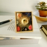 Cactus flower