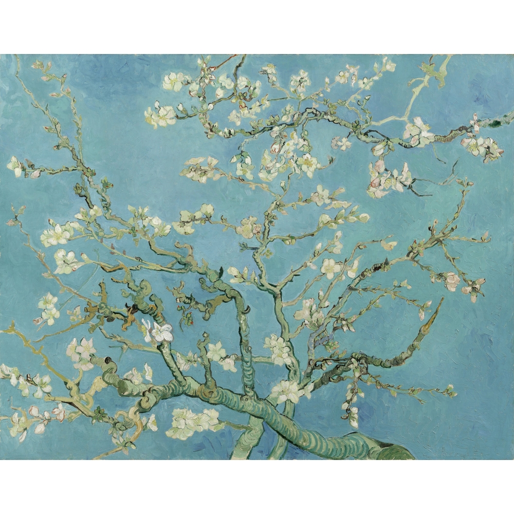 Almond blossom