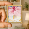 Hibiscus et plumeria