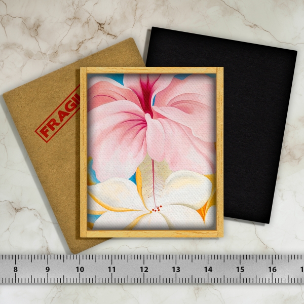 Hibiscus and plumeria