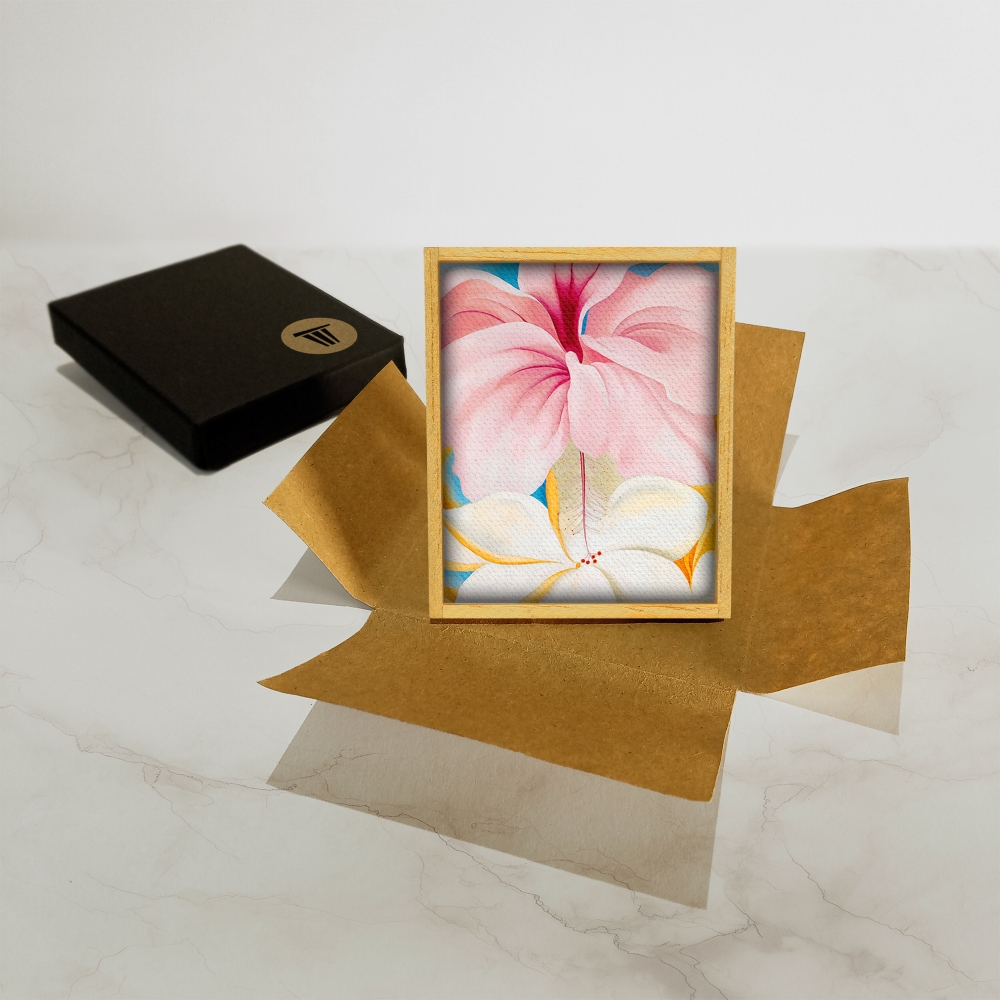 Hibiscus et plumeria