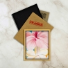 Hibiscus and plumeria