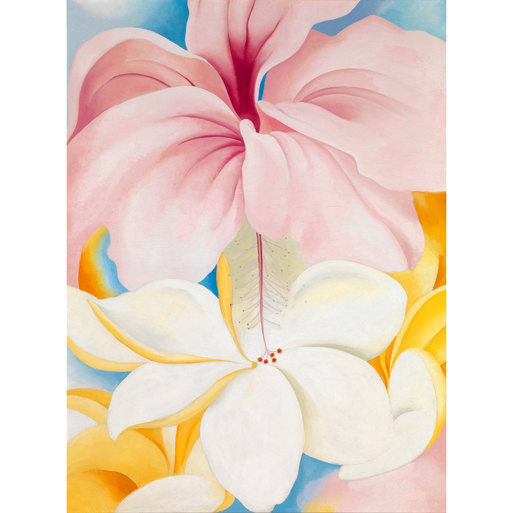Hibiscus and plumeria