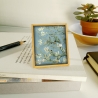 Almond blossom