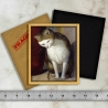 Curious cat