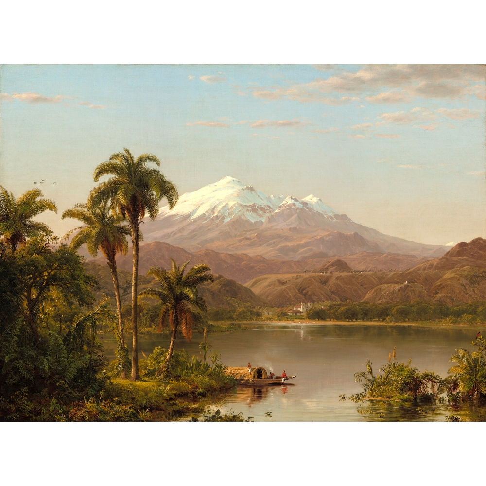 Palm trees and snowy mountains