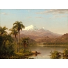 Palm trees and snowy mountains