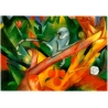 Singe de couleurs